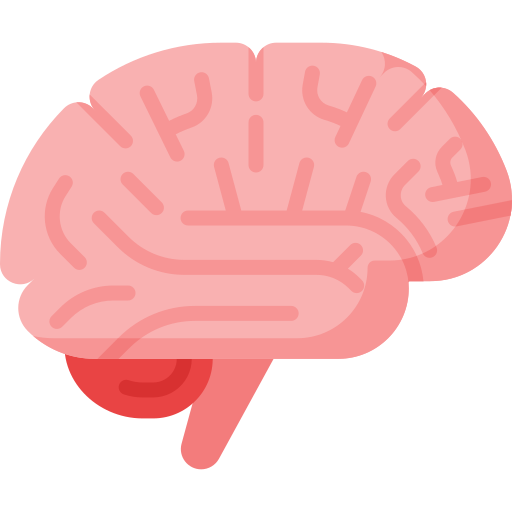 Brain Icon